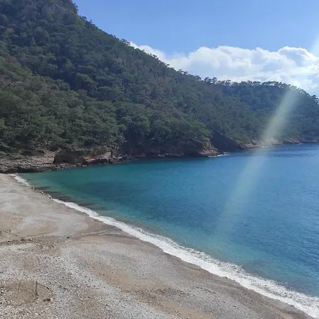 Hotel Kabak Lost Forest Faralya