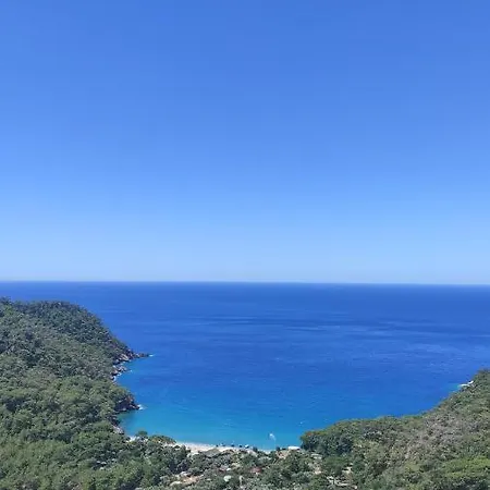 Kabak Lost Forest