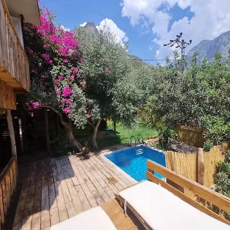 Hotel Kabak Lost Forest