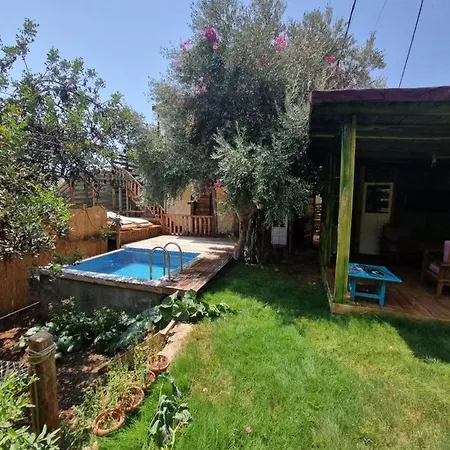 Hotel Kabak Lost Forest 4*