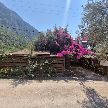Hotel Kabak Lost Forest Faralya