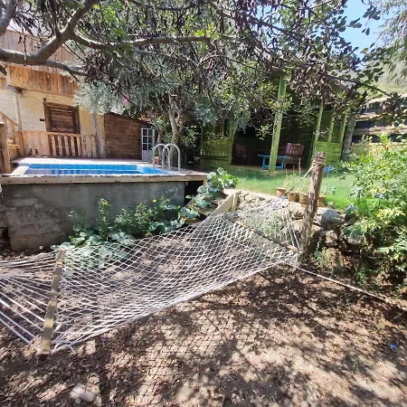 Hotel Kabak Lost Forest 4*